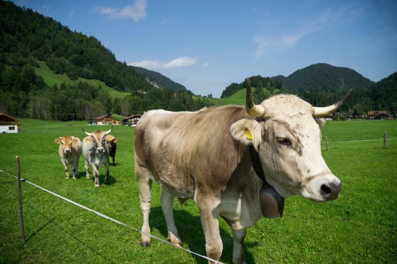 Geigers Ferienhaus Tiefenbach bei Oberstdorf Экстерьер фото